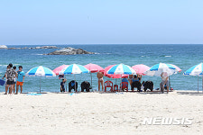 경포해수욕장 개장했어요