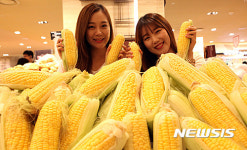 초당옥수수 드세요