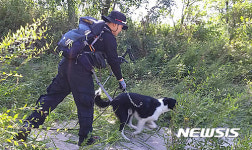 정선 남면 실종자 수색에 구조견까지 동원