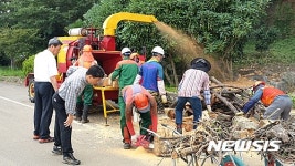 사천시, 7월 한달간 도로변 고사목 1100여 그루 제거