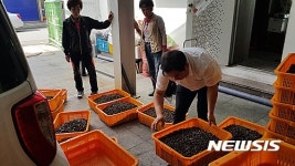 통영시, 동백씨앗 줍기 등 특화형 노인일자리 창출