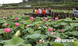 동해시, 제3회 연꽃·천연염색 축제 개막