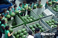 경로당 등에 수박 배달가요