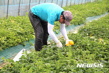 나주시, 농업인 소득사업 농협과 공동 발굴…3억 지원