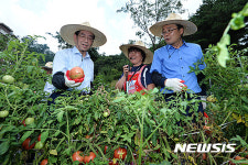 도시재생 현장 시장실 박원순 시장
