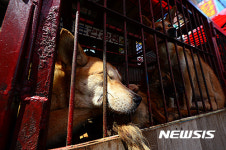 잠이라도 푹자자...