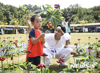 황금 산삼 찾았어요