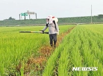 무더위 아랑곳하지 않는 농민