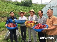 벌교읍 칠동마을 찾은 김무성 전 대표