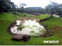 생태 연못으로 복원된 저지리 알못