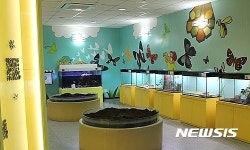 양평곤충박물관 살아 있는 곤충 등 새롭게 단장