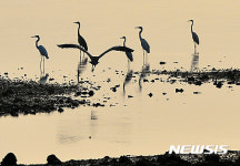 자연이 만든 풍경