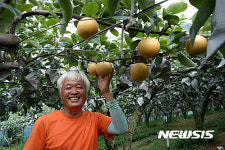 수확의 기쁨