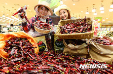 뜨거운 태양에 맛 좋은 햇 고추 판매 개시