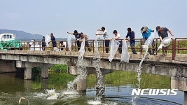 [익산소식] 익산시, 생태계 복원 미꾸라지 치어 방류 등
