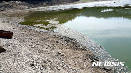 물고기가 죽은 동외저수지