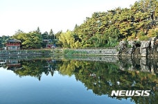 [뉴시스 앵글]데칼코마니 제천 의림지