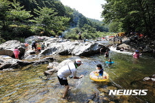 늦은 휴가 영동 물한계곡으로 오세요