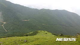 양산국유림관리소, 추석 명절 전후 임도 한시적 개방