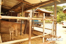 [다시 쓰는 춘향전]⑦예산·지역에 발목 잡힌 이몽룡 테마 사업