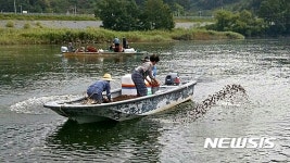 하동군, 섬진강 상류에 재첩 24t  이식