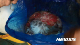 흑염소 불법 도축해 엑기스로 판 70대 불구속 입건