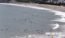 송정해수욕장 점령한 서퍼들