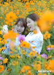 꽃과함께