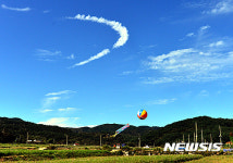 코스모스 축제장에서 본 가을하늘
