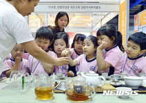 우리 차 배우기