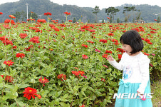 창녕 체육공원 해맑은 모습의 어린이와 백일홍