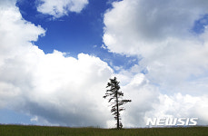 [여행]하늘 아래 힐링 1번지, 대관령 삼양목장