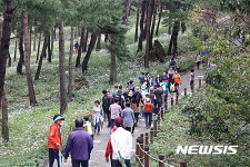 정읍 구철초 꽃밭을 찾은 관광객들