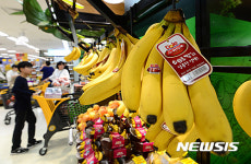 수입 과일 5년 새 가격 급등