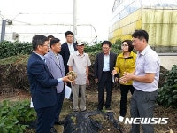화순서 아열대작목 얌빈 수확 한창