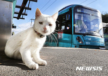 [Pic in Pix]“미에~즈” 일본같으면 역장시키겠네