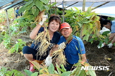 증평인삼골축제 농특산물 20억원 판매 기록