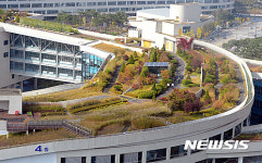 정부세종청사, 세계에서 가장 큰 옥상정원으로 기네스북 등재