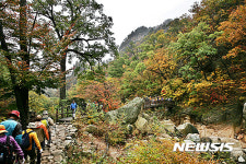 오색단풍 물든 주전골