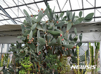 밀양농업기술센터, 어린이 배움의 장 인기