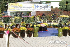 원주교도소 ‘교정의 날’ 맞아 수용자 가꾼 국화 전시회
