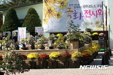 원주교도소 ‘교정의 날’ 맞아 수용자 가꾼 국화 전시회