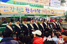 강원도 한우사랑 대축제