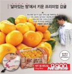 롯데슈퍼 프리미엄 돌코롬 감귤 맛보세요