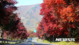 산청 밤머리재 단풍 절정