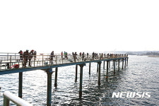 울진군, 2회 마린피아울진 전국바다낚시대회 개최