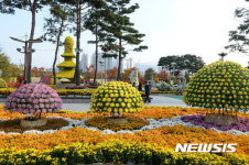 2016 양산국화향연 성황