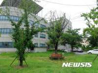 울산 중구, 외솔큰길 힐링나눔숲 조성…7천 그루 식재