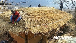 하동군, 평사리 토지마을 초가지붕 이엉 잇기 추진
