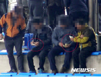 창녕 민속 상설소싸움 대회 도박판으로 얼룩